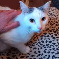 Thumbnail photo of Colby #3