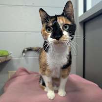 Thumbnail photo of Jackie-Foster #3