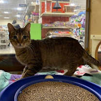 Thumbnail photo of Myra #1