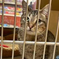 Thumbnail photo of Myra #3