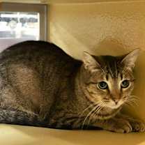 Thumbnail photo of Myra #4