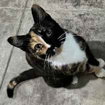 Thumbnail photo of Precious #3