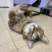 Thumbnail photo of Jane #1