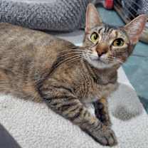 Thumbnail photo of Jane #2