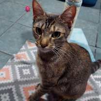 Thumbnail photo of Jane #3