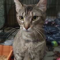 Thumbnail photo of Jane #4