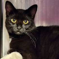 Thumbnail photo of Wiggles #2