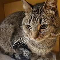 Thumbnail photo of Eddie #2