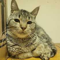 Thumbnail photo of Eddie #3