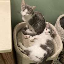 Thumbnail photo of Boyd #2