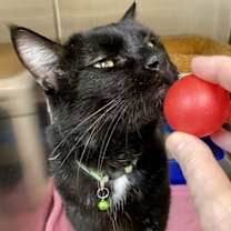 Thumbnail photo of Elijah #2