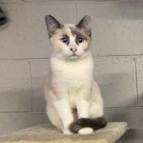 Thumbnail photo of Darling #2