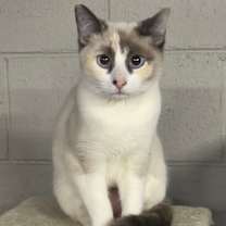 Thumbnail photo of Darling #3