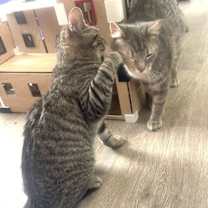 Thumbnail photo of Thelma and Louise #2