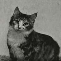 Thumbnail photo of Lola #2