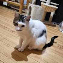 Thumbnail photo of Alfredo #3