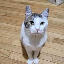 Thumbnail photo of Alfredo #4