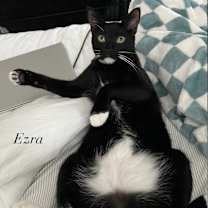 Thumbnail photo of Ezra #2