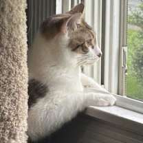 Thumbnail photo of Carly #3