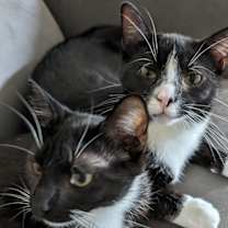 Thumbnail photo of Ronan #4