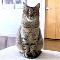 Thumbnail photo of Princess Olga #1
