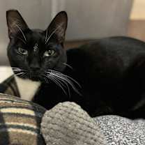 Thumbnail photo of Fred #3