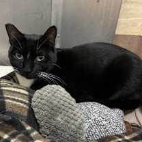 Thumbnail photo of Fred #4