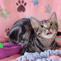 Thumbnail photo of Dory #1