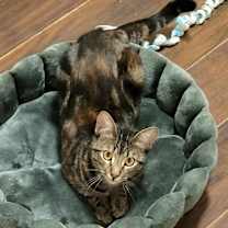 Thumbnail photo of Dory #2