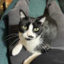 Thumbnail photo of Dumpling #3