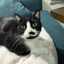 Thumbnail photo of Dumpling #4