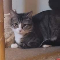 Thumbnail photo of Alba #1