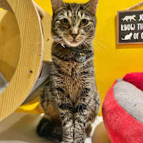 Thumbnail photo of Reese #2