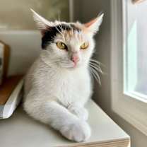 Thumbnail photo of Paris #2