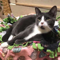 Thumbnail photo of Creed #1