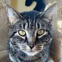 Thumbnail photo of Tyrone #1
