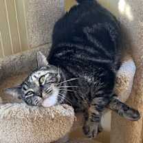 Thumbnail photo of Tyrone #3
