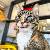 Thumbnail photo of Sunni #3