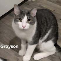 Thumbnail photo of Grayson #2