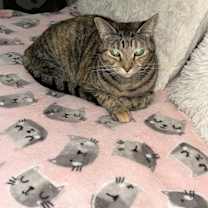 Thumbnail photo of Olivia #4