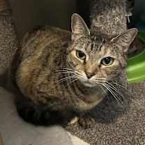 Thumbnail photo of Olivia #1