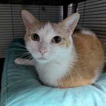 Thumbnail photo of Alicia #2