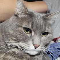 Thumbnail photo of Lovely #1