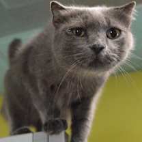 Thumbnail photo of Dayna #2