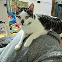 Thumbnail photo of Dottie #2