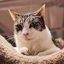 Thumbnail photo of GFY #1