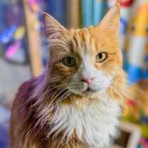 Thumbnail photo of Harry #1