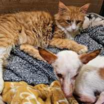 Thumbnail photo of Harry #4