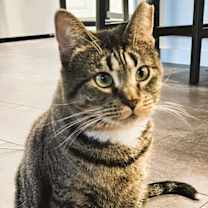 Thumbnail photo of Holly L #3