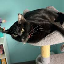 Thumbnail photo of Stella (Elly) #1